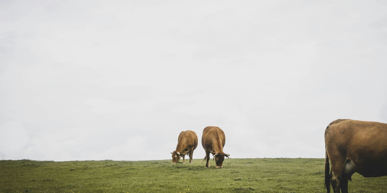 BTS GPN en Occitanie : Les Meilleures Écoles