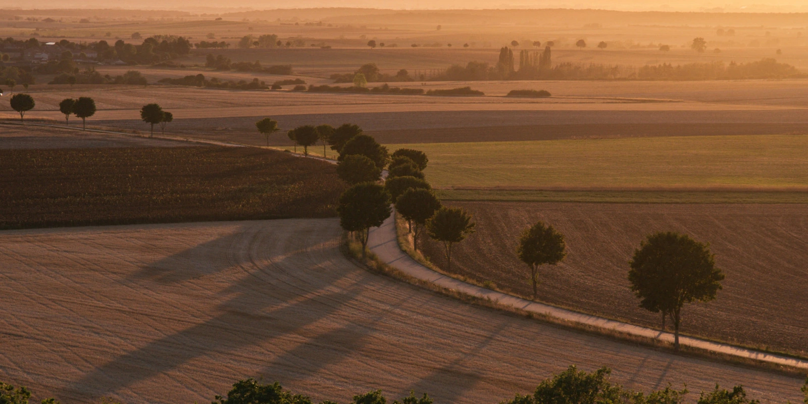 Comment Réussir son BTS GPN : Conseils et Astuces