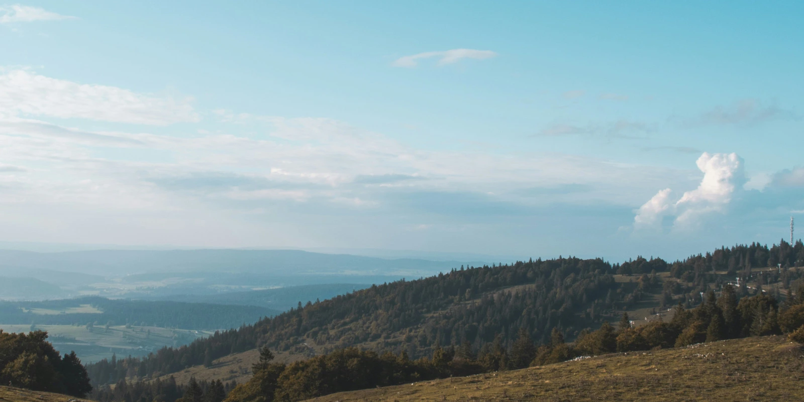 Les Meilleures Écoles pour un BTSA GPN
